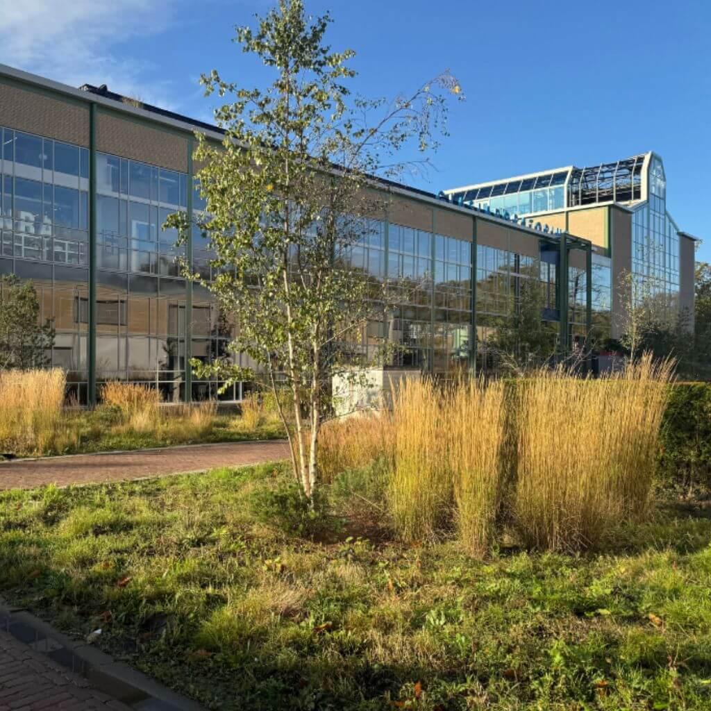 glazenwasser eindhoven proclean groep